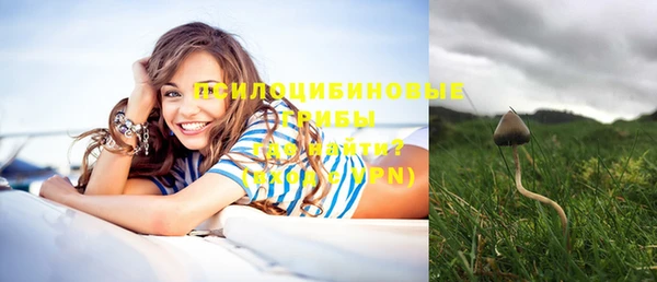ПСИЛОЦИБИНОВЫЕ ГРИБЫ Иннополис