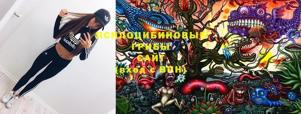 ПСИЛОЦИБИНОВЫЕ ГРИБЫ Иннополис
