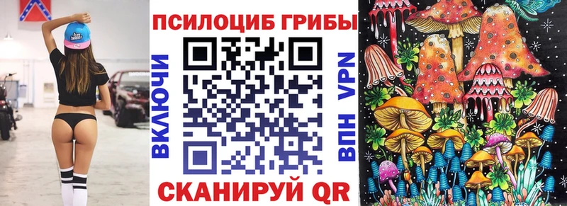 Псилоцибиновые грибы прущие грибы  Купить  Евпатория 