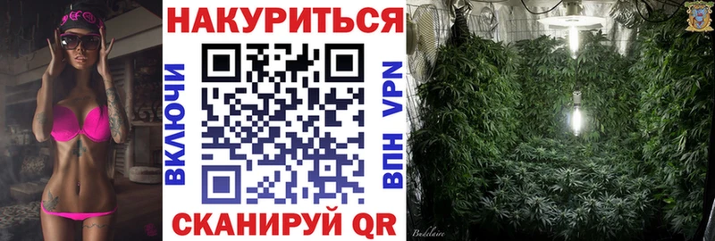 Купить закладки  Евпатория  Бошки Шишки сатива 